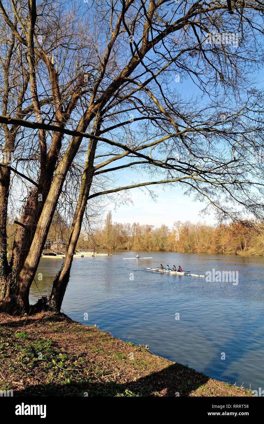 The River Thames at Weybridge with recreational woman rowers practising