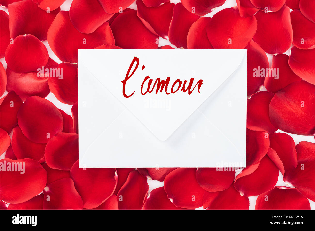 top view of envelope with 'lamour' lettering and red rose petals on background Stock Photo