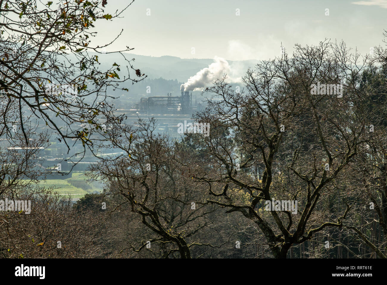 Industrial landscape. Scene of Trees and a Factory emitting smoke polluting the atmosphere. Pollution concept Stock Photo