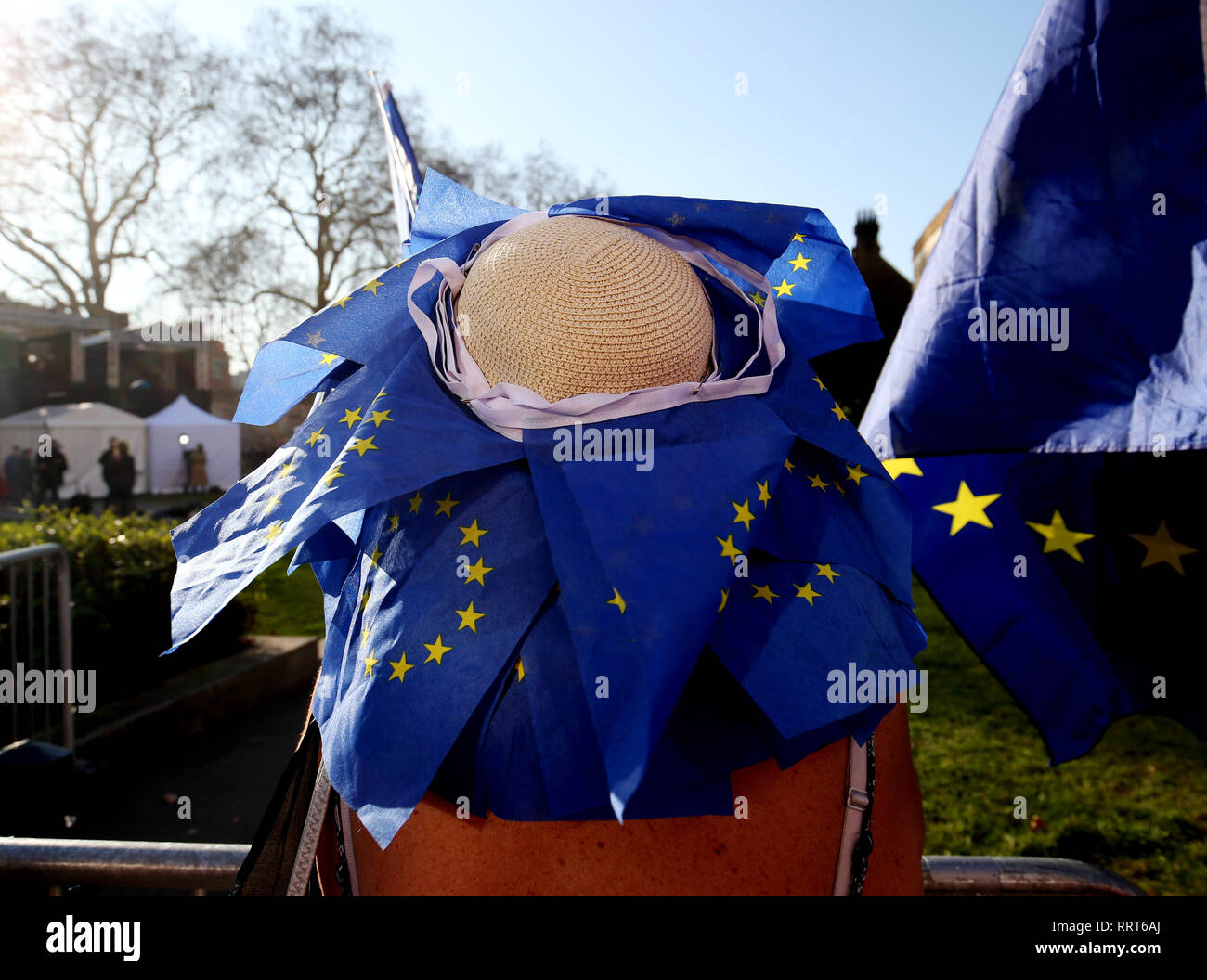 A pro European protester wears a hat covered in European flags on College Green, Westminster. Prime Minister Theresa May has promised to give MPs a vote on extending Brexit negotiations or withdrawing from the EU without a deal if her plan is rejected next month. Stock Photo