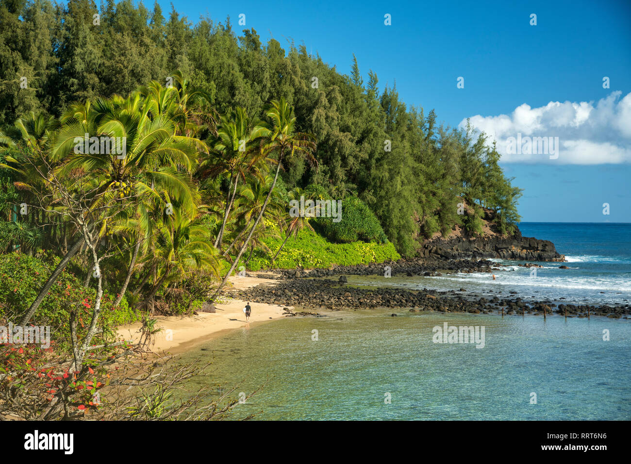 South Pacific, USA, Hawaii, Hawaiian, Island, Kauai, North Shore, Beach Stock Photo