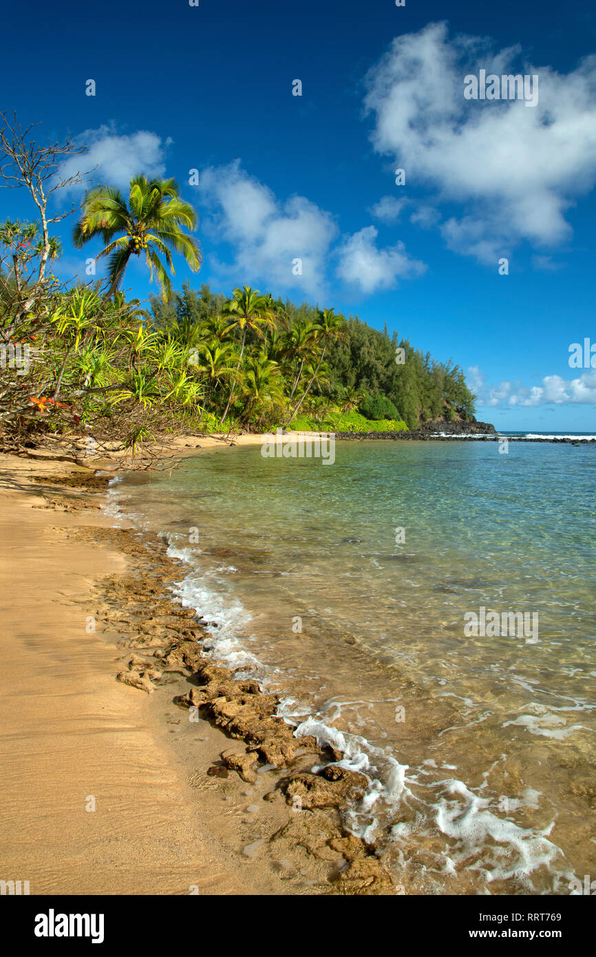 South Pacific, USA, Hawaii, Hawaiian, Island, Kauai, North Shore, beach Stock Photo