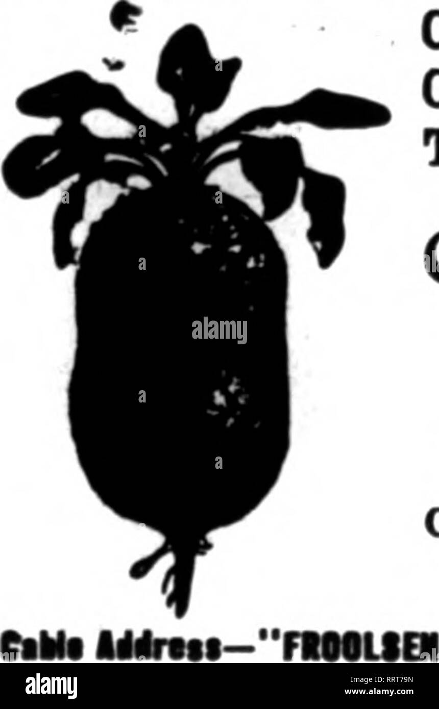 Mehe High Resolution Stock Photography And Images Alamy Bollywood songs stolen from pakistan. alamy