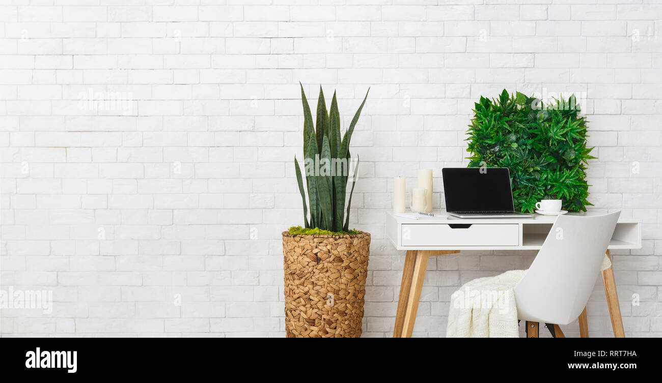 Modern workplace with laptop and plants, empty space Stock Photo