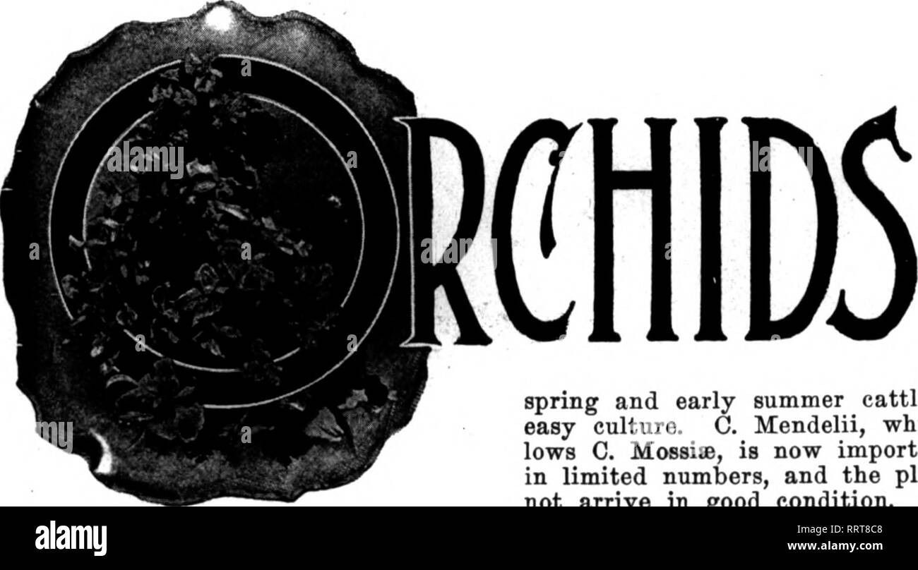 . Florists' review [microform]. Floriculture. 44 The Florists'Review March 18, 1016, continues to do so now, year after year. There is the double gain, in ad- vertising and in gate receipts. Here the landscape gardener was able to aid the florist. At the Seattle Exposition. An instance illustrating but one of the many ways in which the florist's aid may be called in to help the land- scape gardener is to be seen at San Francisco during the present exposi- tion. There flowers are an extremely important feature. At the Seattle ex- position, several years ago, was an ex- cellent illustration of t Stock Photo