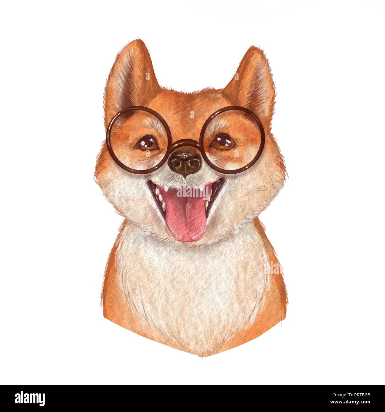 Cute dog wearing glasses , isolated on white background Stock Photo - Alamy