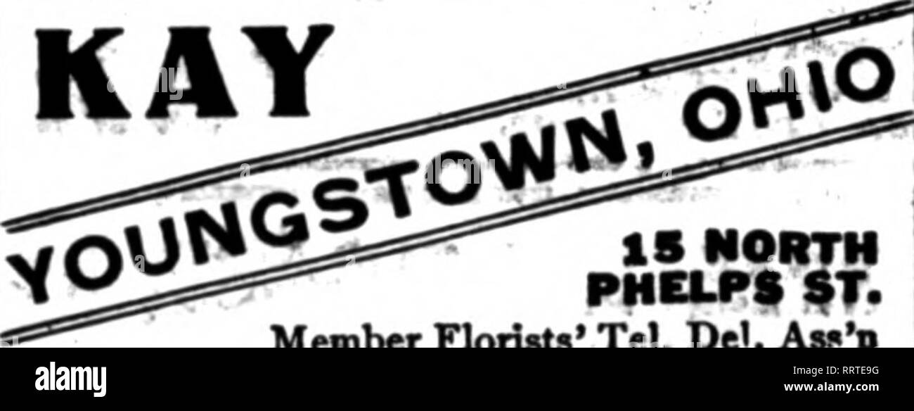 . Florists' review [microform]. Floriculture. CUDC BROS.CO. FLORISTS 1214 r STNW. WASHINGTON DC WASHINGTON, D. C. GUDE'S Mpmbers Florists' Te'i-craoh DeliTeiy FLORAL DESIGNS S^A^^^ OHIO Wilson'sSeedStore COLONBUS Telegraph Orders Carefully Executed. Citizen'sKKS. Beu'Main 2903 ZOD SO. Ill^h St. The livingston Seed Co. FLORISTS COVER ALL Ohio pqijmts IHN. Ri^hSt., COT UPI6US. OHIO. KAY 18 NORTH PHELPS ^T. Membe^lorirts^TelJDel. Aw'n Steubenville, UtllO FLORIST tlS-120 North Foortli Straet All Orders Promptly Rxeented DAYTON, OHIO 1« snd IS }ft. 3rd f f. Mittjiews the Florist Estsblished in 1888 Stock Photo