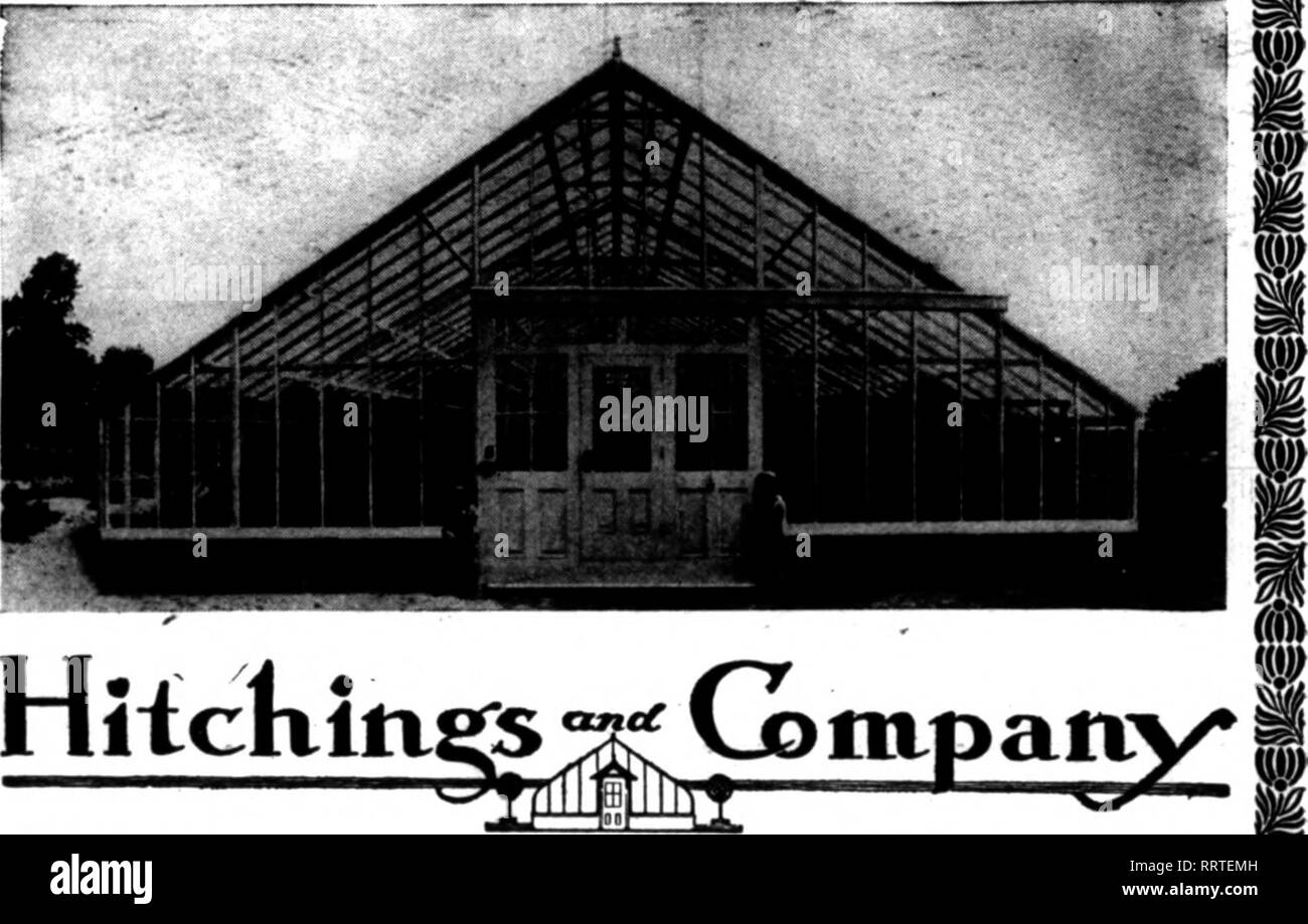 Lääkäri ja teini-ikäinen porno