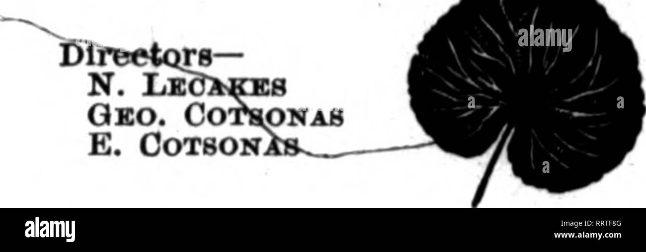 Page 218 F A L N High Resolution Stock Photography And Images Alamy