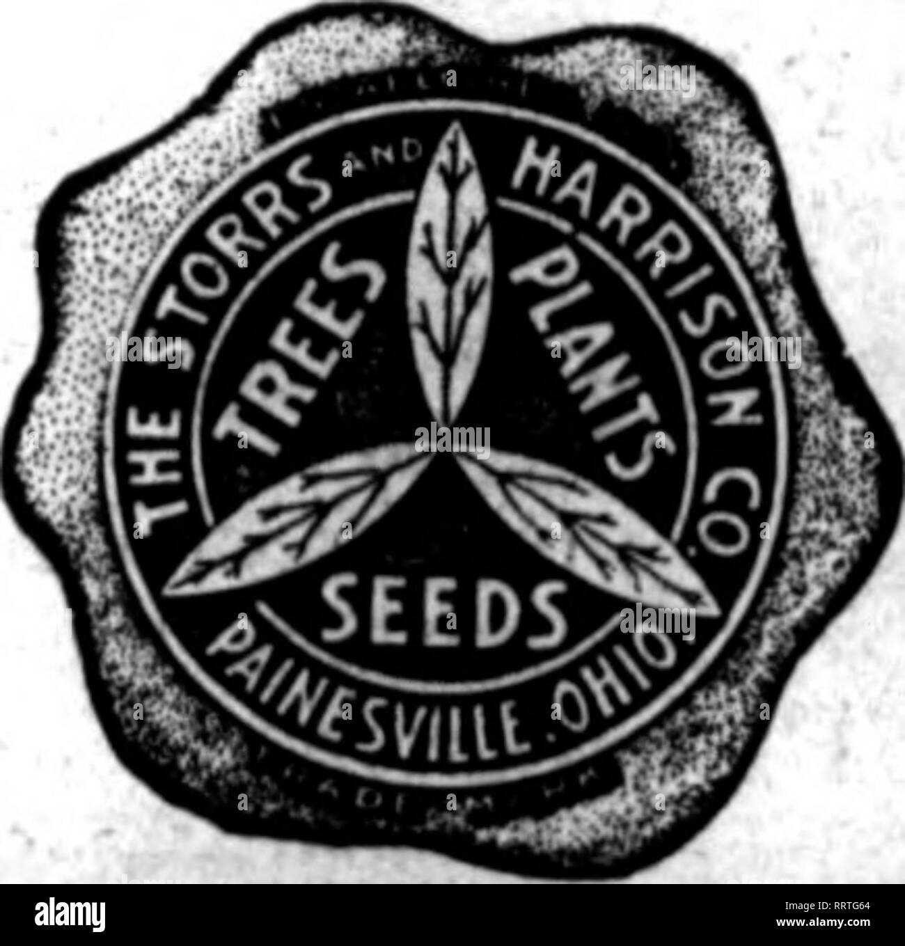 . Florists' review [microform]. Floriculture. &quot;Superb Quality&quot; SEEDS FOR FLORISTS = THE STORRS &amp; HARRISON CO.'S SUPERB MIXTURE OF GIANT PANSY SEED Contalas the Ultimate In Oiant Psnsies. You cannot buy a better mixture of Pansy Seed at any price. Trade Packet, 50c; ^ oz., $1.25; oz.. |4.00.. We carry in stock all named and separate colors of Oiant Pansies, also the best strains of Odier, Gassier, Butrnot, Trimardeau. etc. (See our trade list for prices.) Cineraria Grandiflora ^»rn)?tlrdVpa'^k.t/$i!oo Bellis Perennis (English Daisy) Lonarfellow (red). Snowball (white), Tr. Pkt., 3 Stock Photo