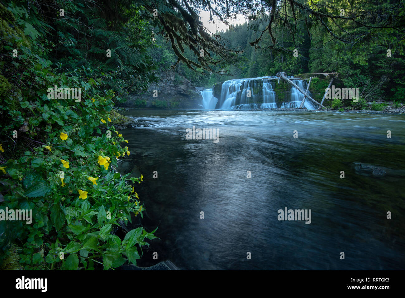 American lake trout hires stock photography and images Alamy