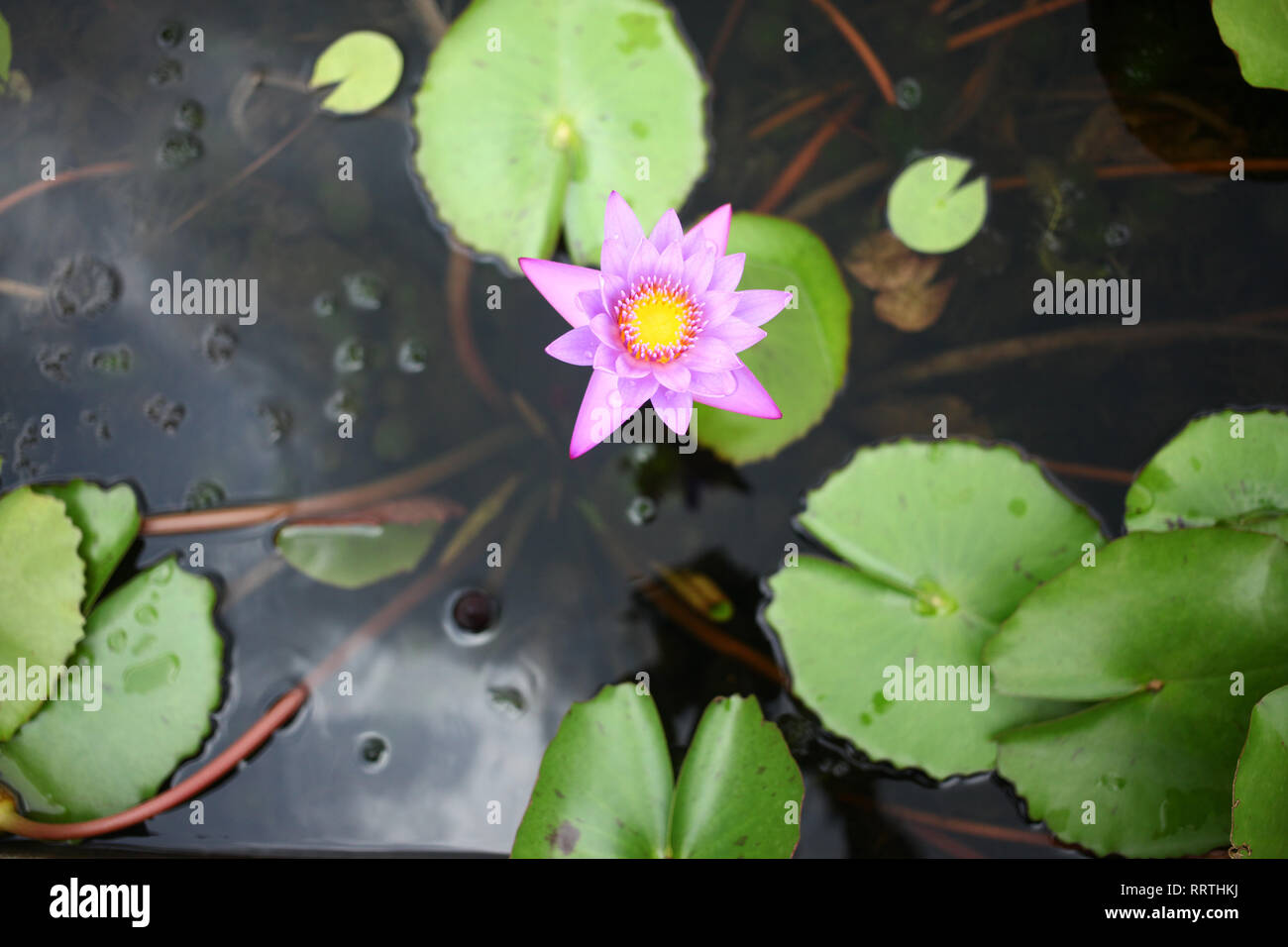Numerous rounded hi-res stock photography and images - Alamy
