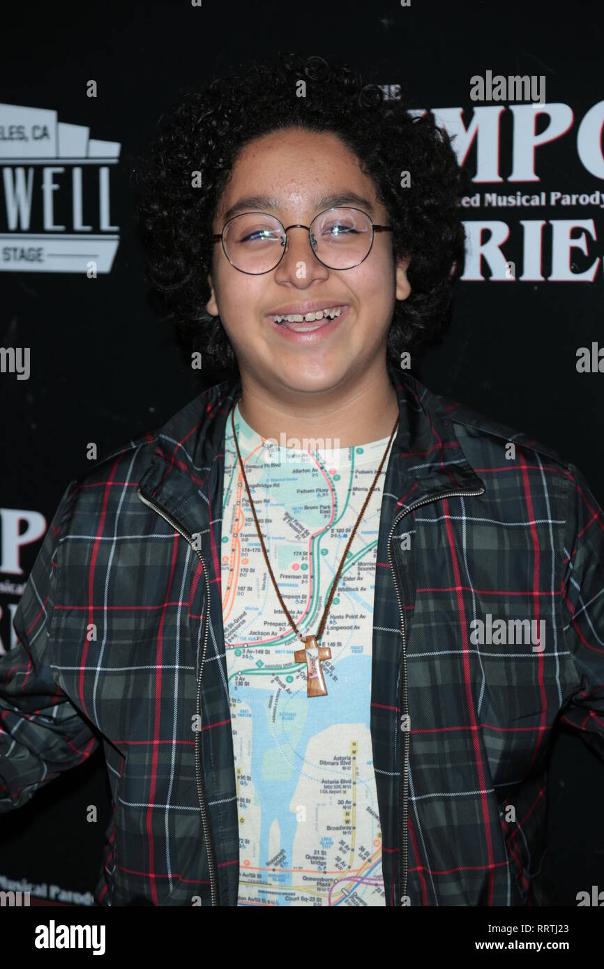 'Unauthorized Musical Parody of Stranger Things: Choose Your Own