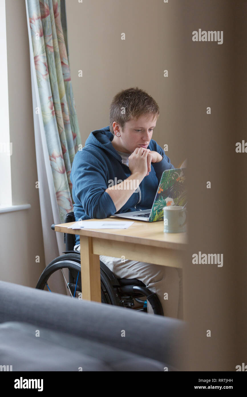 Focused young woman in wheelchair using laptop at dining table Stock
