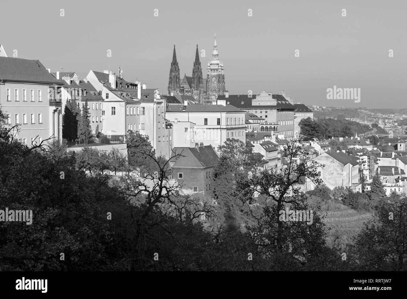 Prague - The Hradčany, Castle and St. Vitus cathedral from Petrin in evening light. Stock Photo
