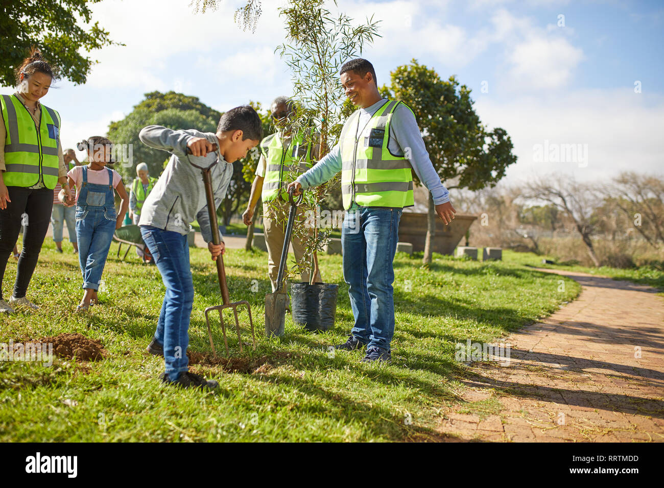 Multi-generation family volunteers planting trees in sunny park Stock Photo