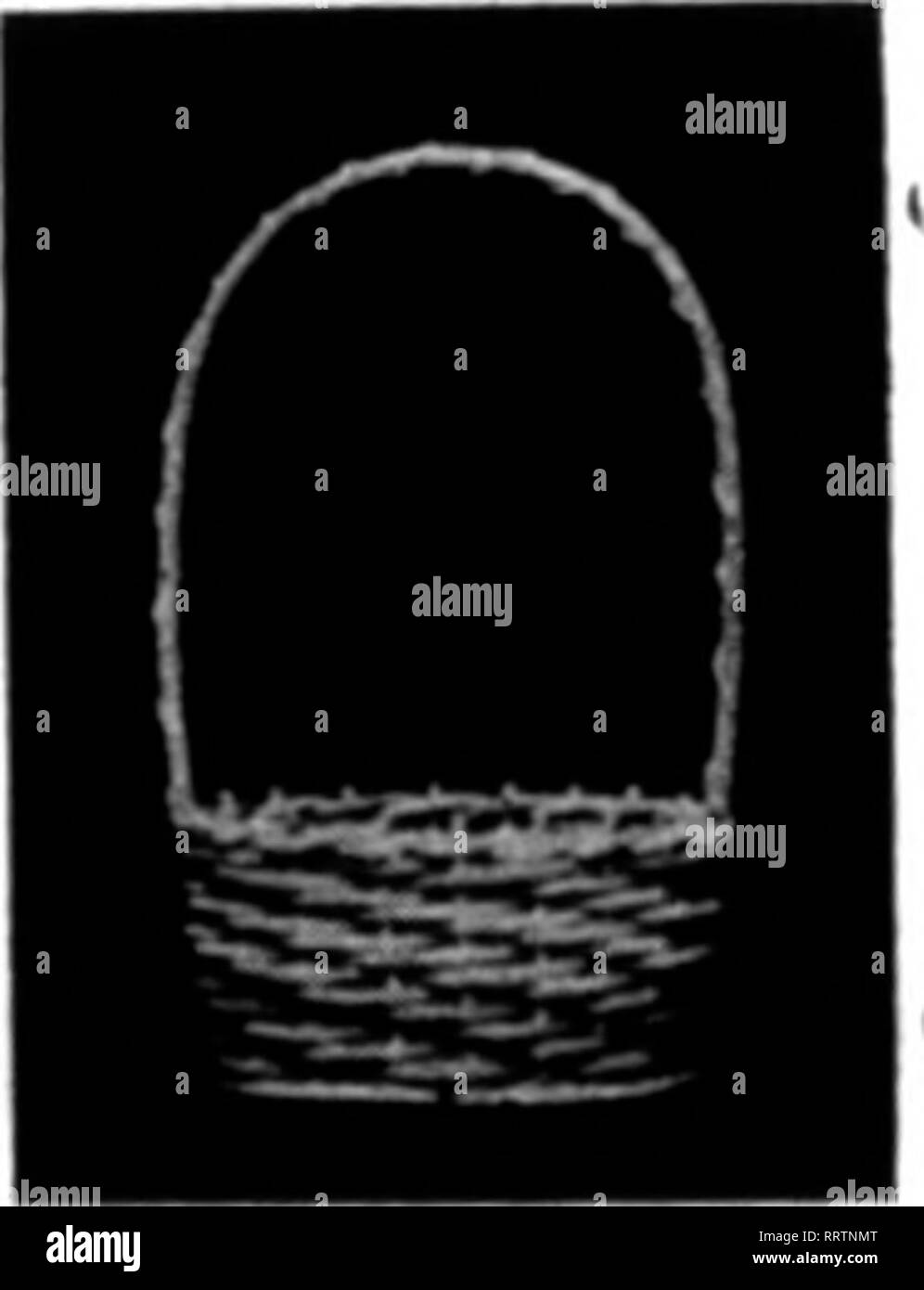 Florists' review [microform]. Floriculture. No. 1290 Ftno ...