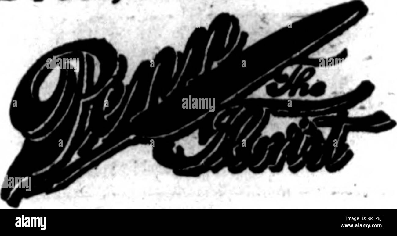 24 87 Black And White Stock Photos Amp Images Alamy