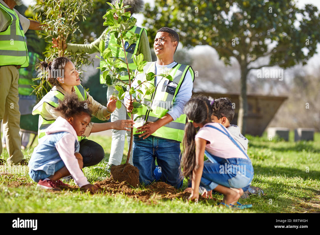 Volunteers planting tree in park Stock Photo