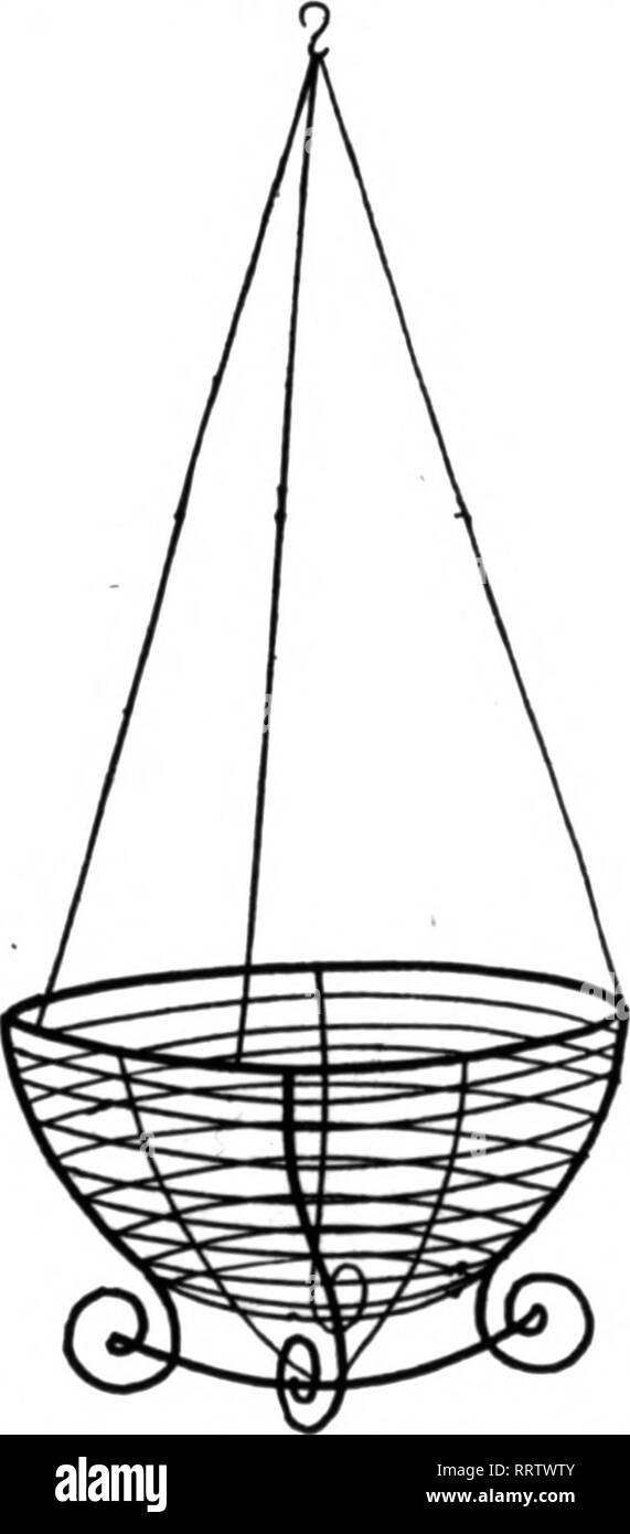. Florists' review [microform]. Floriculture. 1*:: '?T. C. E. CRITCHELL, 32-34-36 E. Third Street, CINCINNATI, OHIO WHOLESALK COMMISSION FLORIST M.'nnnn Th» H**l4&gt;w wrw^i rnn irrlt# WIRE HANGING BASKETS. 8-inch. $1.50 per doz. 10- inch $1.76 per doz. 9-inch. 1.60 per doz. 12-inch 2.50 per doz. 14-inch $3.50 per doz. Special largrer sizes to order GREEN SHEET MOSS For Linlns Hanffliiff Baskets Per bale (5 bundles) $1.25 Shales (25 bundles) 6.00 Also other Florists' Supplies. Write for list GEO. E ANGERNUELLER, Wkalestle riirist 1324 Pine Street, ST. LOUIS, MO. McDtlon The Review when you •wr Stock Photo