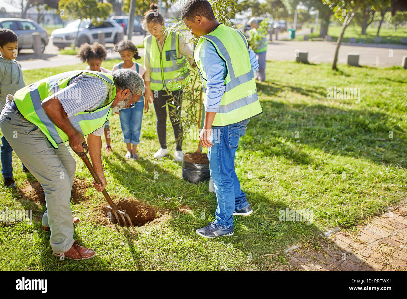 African boy planting tree hi-res stock photography and images - Alamy