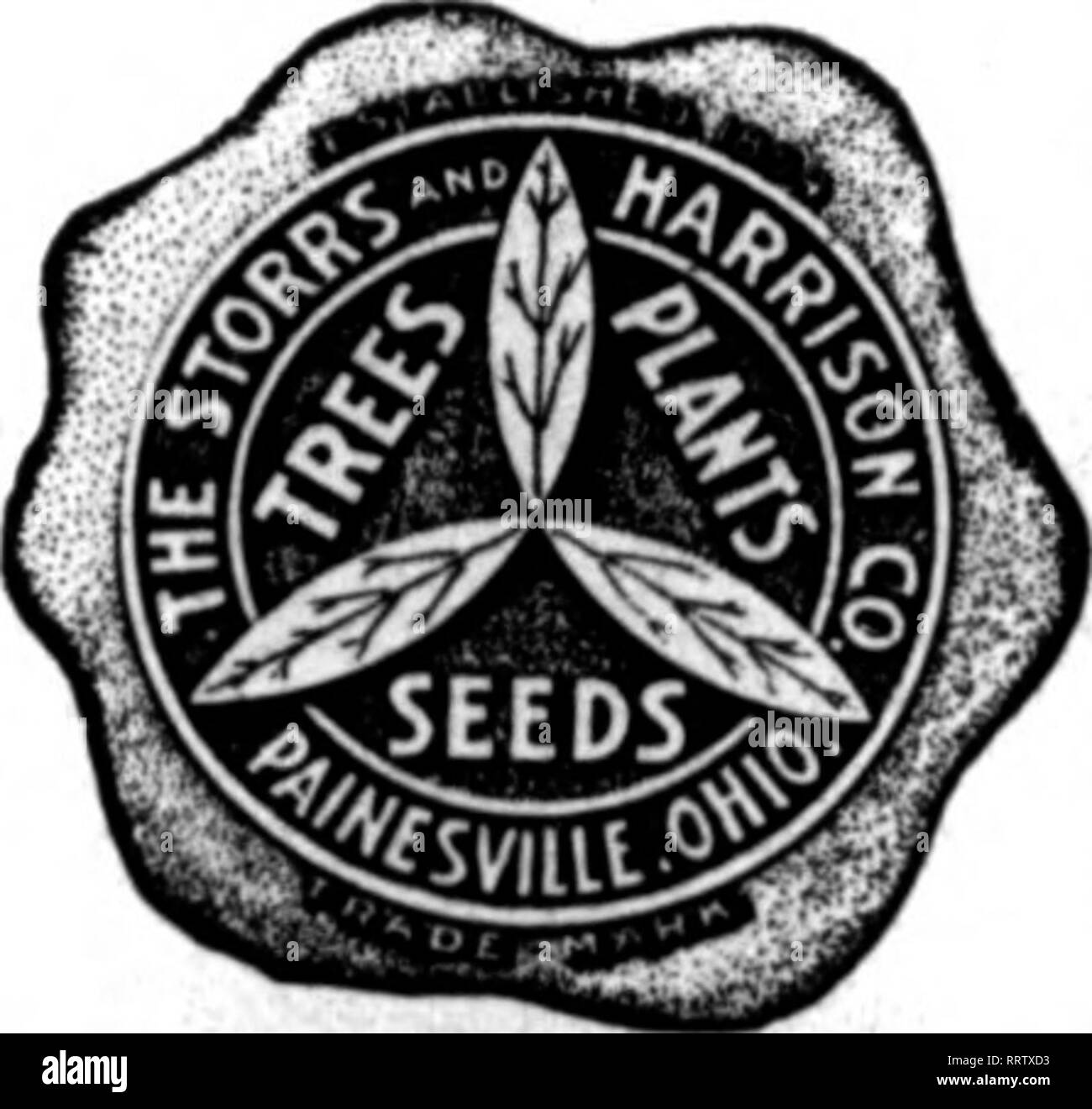 . Florists' review [microform]. Floriculture. &quot;'Superb Quality SEEDS FOR FLORISTS jj THE STORRS A. HARRISON CO.'S SUPERB MIXTURE OF GIANT PANSY SEED Contains the Ultiimte in Giant Pansies. You cannot buy a better mixture of Pansy Seed at any price. Trade Packet, 50c; ^ oz., $1.25: oz., f4.00. We carry in stock all named and separate colors of Giant Pansies, also the best strains of Odier, Gassier, Bu«mot, Trimardeau, etc. (See our trade list for prices.) Cineraria Grandiflora •trarn)!'trad.pa'^k.n$i!oo Bellis Perennis (EDgiish Daisy) Lonefellow (red). Snowball (white). Tr. Pkt., 36c: Mixe Stock Photo