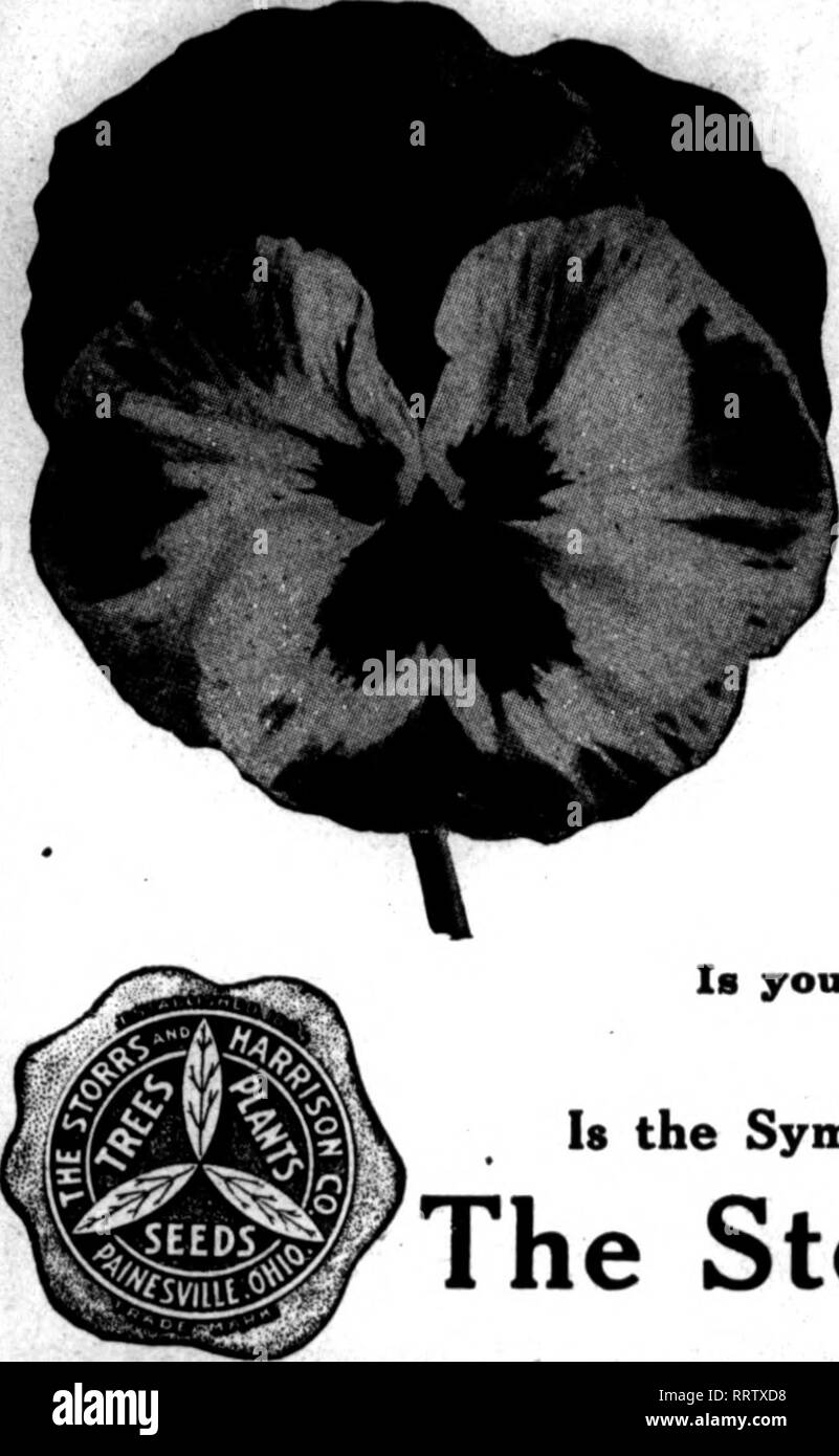 . Florists' review [microform]. Floriculture. ^J-'' V^ &gt;' ^ ,^ .*« ?&quot; AtGKST 7, 1913. The Rorists' Review. &quot;'Superb Quality SEEDS FOR FLORISTS jj THE STORRS A. HARRISON CO.'S SUPERB MIXTURE OF GIANT PANSY SEED Contains the Ultiimte in Giant Pansies. You cannot buy a better mixture of Pansy Seed at any price. Trade Packet, 50c; ^ oz., $1.25: oz., f4.00. We carry in stock all named and separate colors of Giant Pansies, also the best strains of Odier, Gassier, Bu«mot, Trimardeau, etc. (See our trade list for prices.) Cineraria Grandiflora •trarn)!'trad.pa'^k.n$i!oo Bellis Perennis (E Stock Photo
