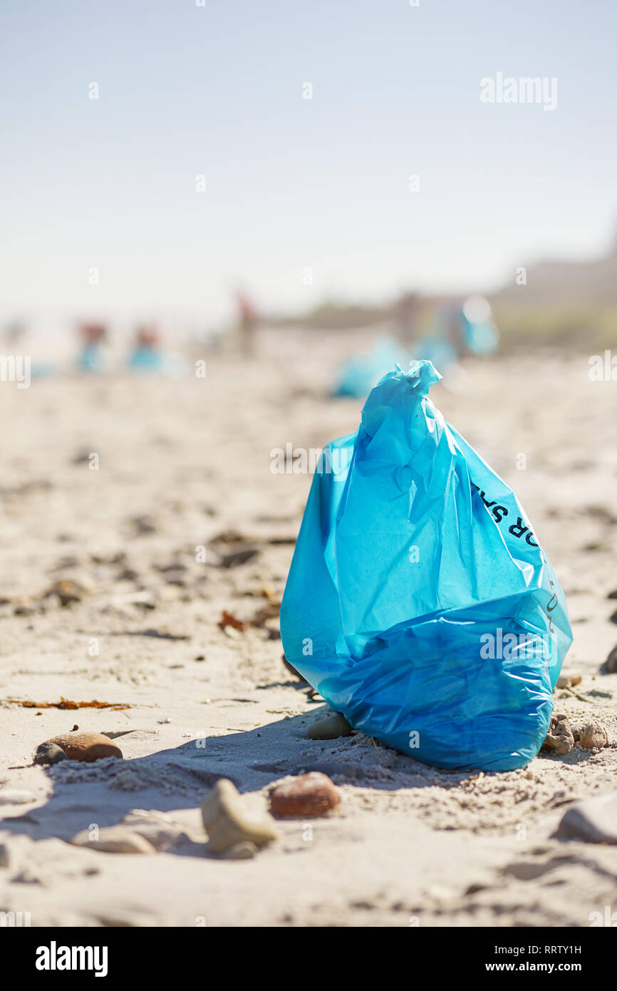 Blue cleanup garbage bag on sunny, sandy beach Stock Photo