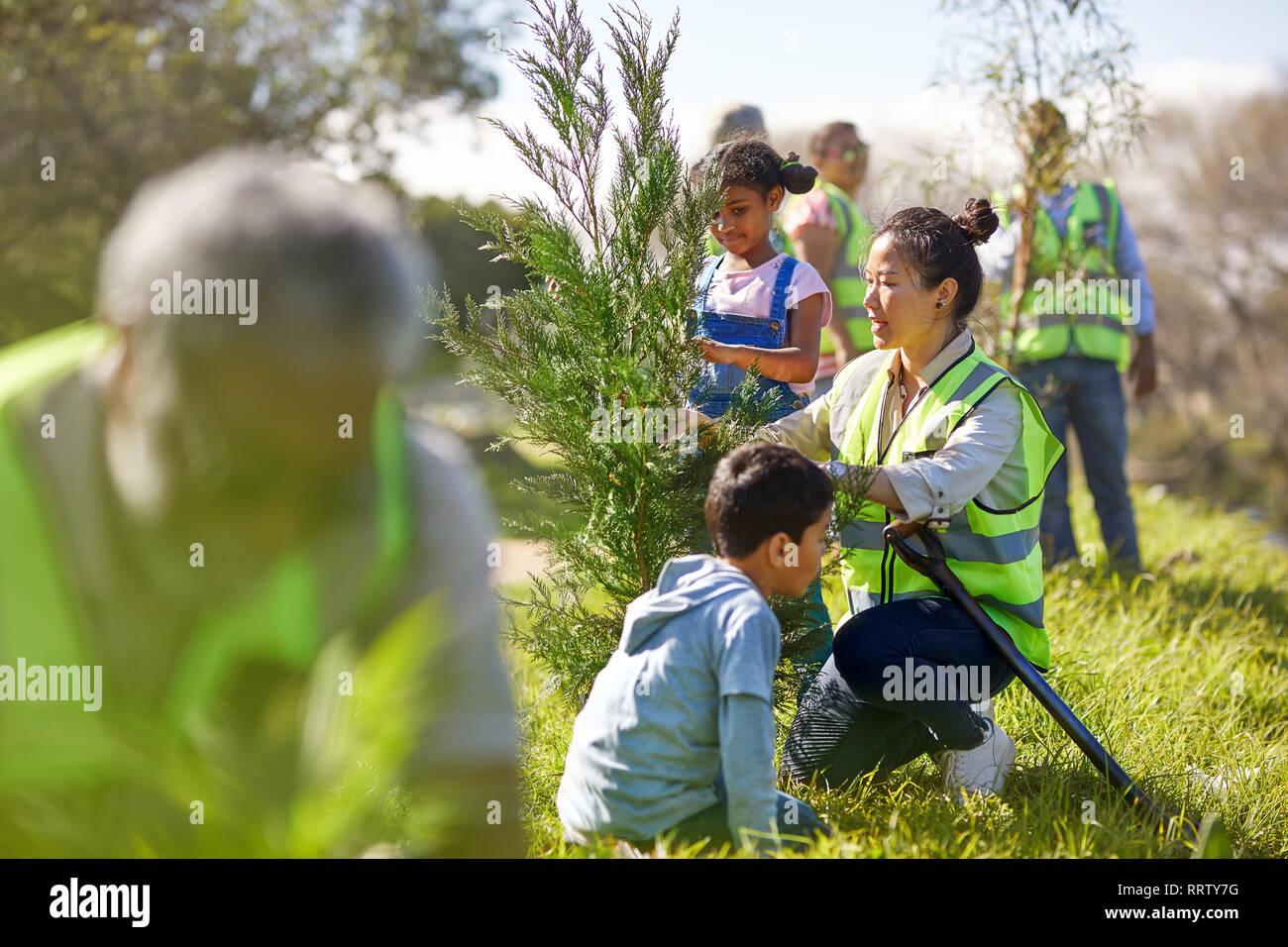 Woman and children volunteers planting tree in sunny park Stock Photo