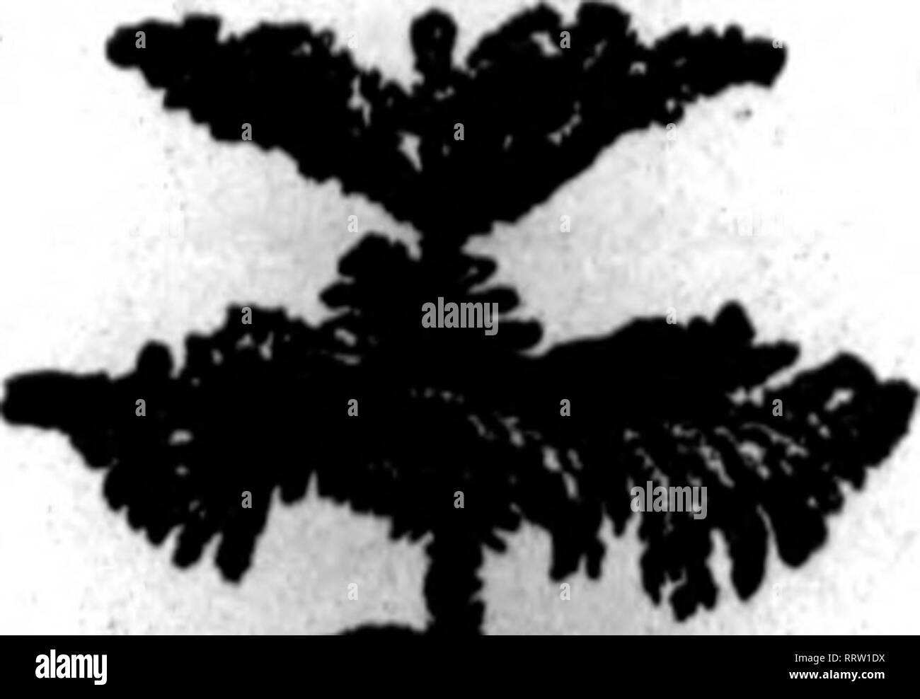 Hfi Stock Photos Hfi Stock Images Alamy