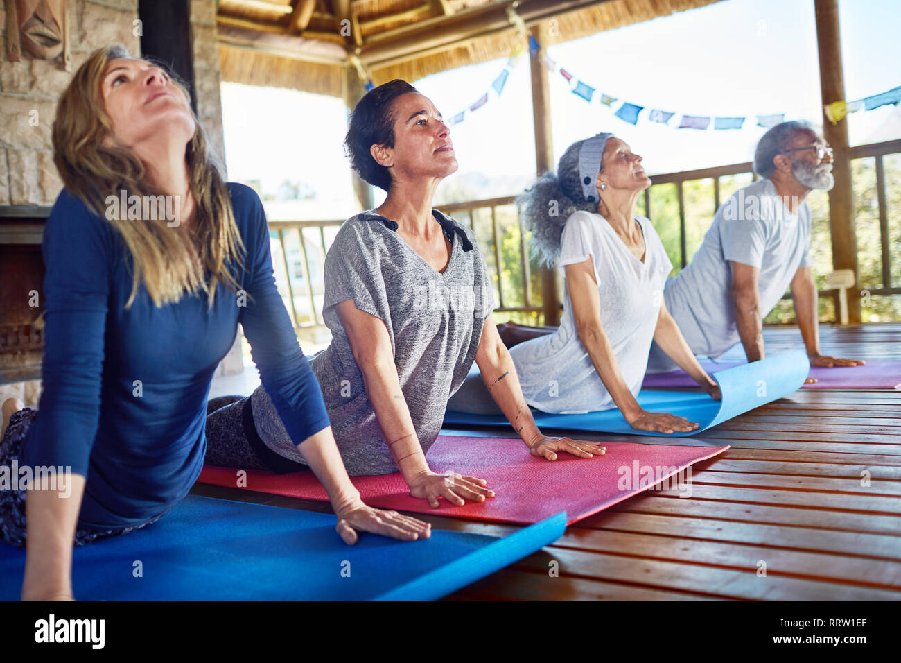 Serene group practicing upward facing dog pose in hut during yoga retreat Stock Photo