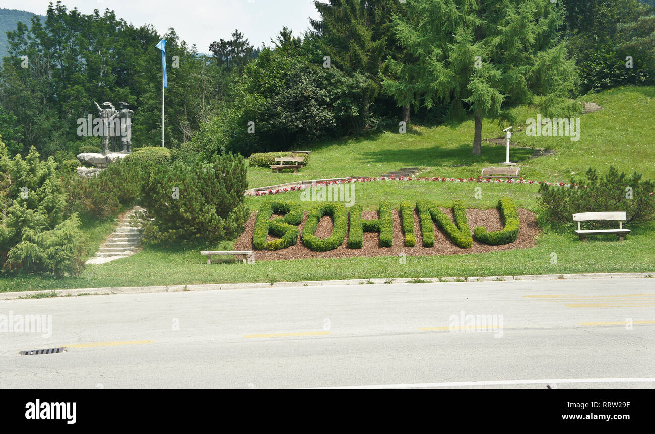 View of the green plant word Bohinj Stock Photo