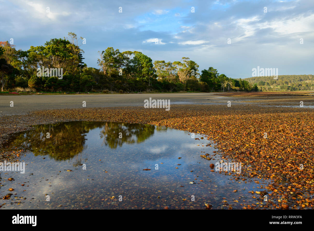 Oceania, Australia, Australian, Tasmania, Launceston, Tamar River, Paper Beach Stock Photo