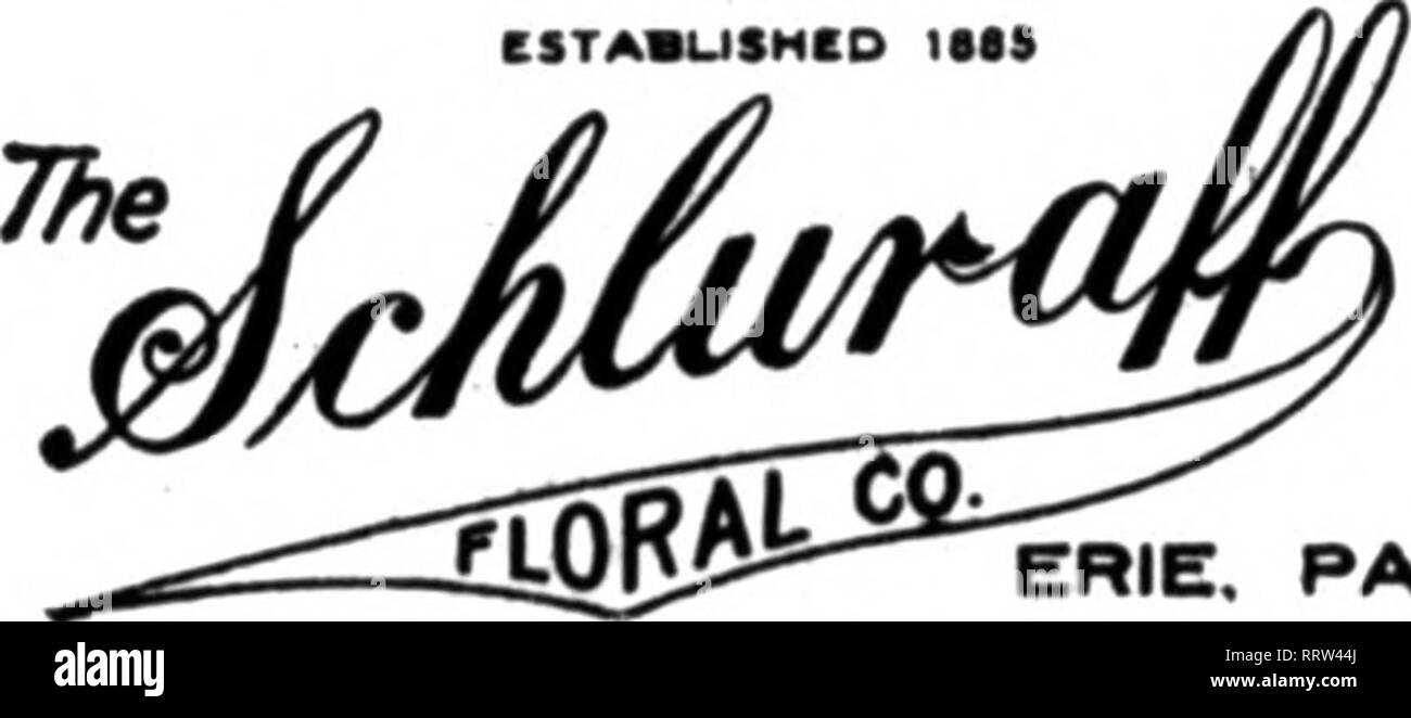 Florists Review Microform Floriculture Montreal Salt Lake Cih Also Parts Of Colorado Idaho Montana And Nevada Huddart Floral Co 62 So Main Straat Myer 609 11 Madison Ave New York L D Phone