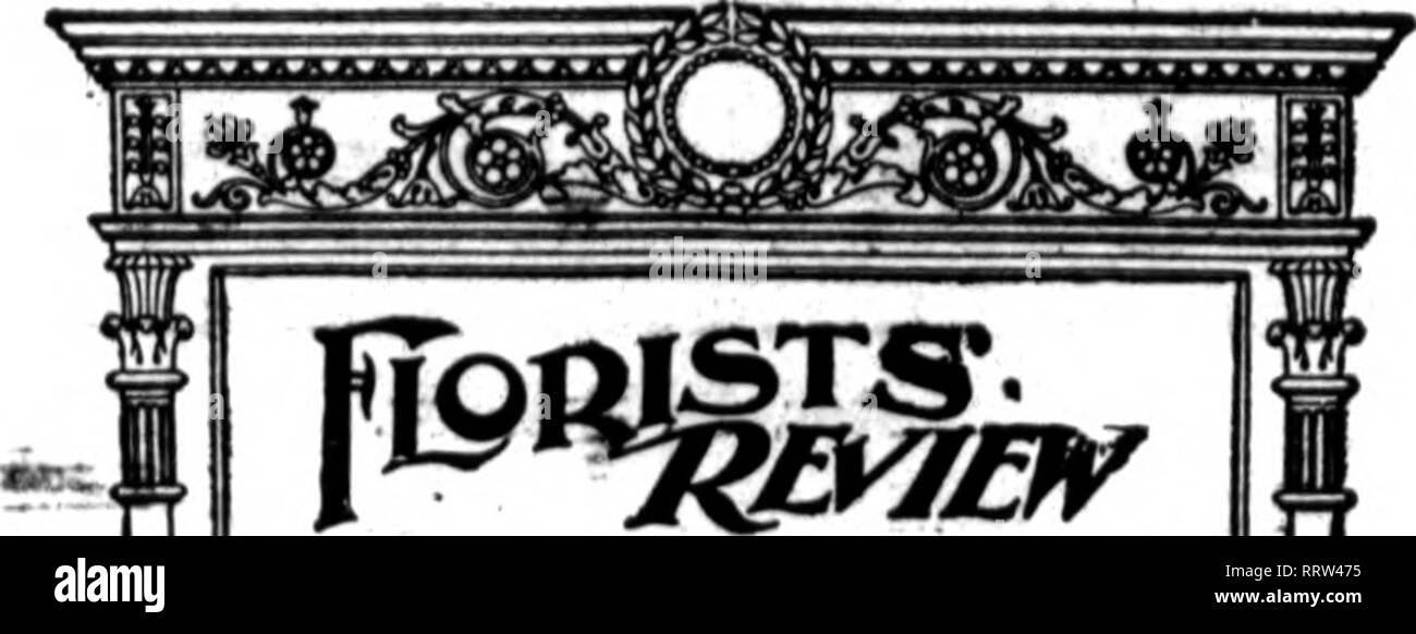 . Florists' review [microform]. Floriculture. 20 The Florists^ Review SUPTBMBBft IT^ 1914. hiti to Ad?ertisen, Pite 106. NOTICE. It i« impoMibl* to guaranta* th« insartioa, diacontiDuaaca or altaration of any advartisa- mast unlas* instructioDs ara racaWad hj 5 P. M. TUESDAY.. ^ 1 •.aCONTENTS «a« IManniDK the CaDipalgn for Telepraph Orders (illus.) 9 At the Toronto Exhibition (llliis. p 11 Rye's Funeral Pieces (iUus.) 11 Crabb &amp; Hunter's Wreath (lllus.» 11 Plants for Aquatic Pool 11 How Far Glass Should Lap 11 The Hardy Garden 12 — The Hardy Perennial Garden 12 Carnations 12 — Lower Leaves Stock Photo