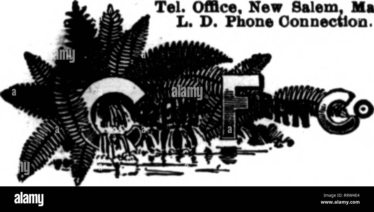 Caldwell 80 hi-res stock photography and images - Page 2 - Alamy