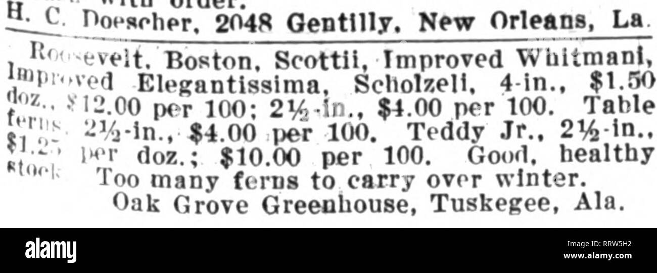 . Florists' review [microform]. Floriculture. S]IU&gt;TBMBKR 10, 1914. 1^ Floristsj' Review «7 I KKNERY -FBRNS, fine hardy Tarletiea, 2%- i„ $a.50 per 100. '&quot; • BOSTON FERNS. Big stock of strong dwarf plants. Ml/, inch * 4.00 per 100 IrmlJ 7.00 per 100 iU 15.00 per 100 2 j,,,.i, , 6.00 per do«. 7i.,h extra heavy 9.00 per doa. ill,,!, 12.00 per doz. 1,1 iich 15.00 per doz. II ?(' gDeclDien plants $1.50 to 2.00 each '&quot; ? WHITMANI. .,.,, inch I 5,00 per 100 o 1,, ii lO.OO per 100 tiu'b 25.00 per VbO wi, -h extra heavy 15.00 per doz. C. C. POLLWORTH CO.. MIl.WAl-'KKK. WISCONSIN. &quot;'  Stock Photo