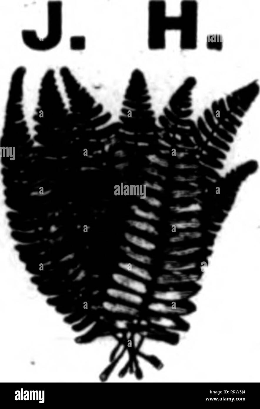 Fancy G Black And White Stock Photos Images Page 2 Alamy
