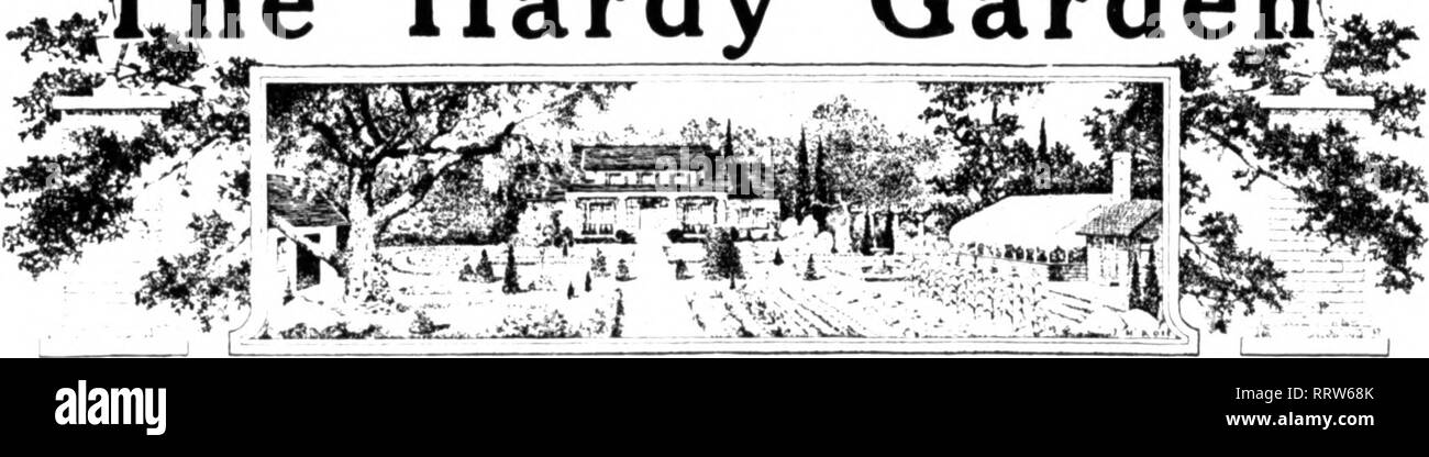 Florists Review Microform Floriculture The Hardy Perennial Garden As It Looks In September While The H