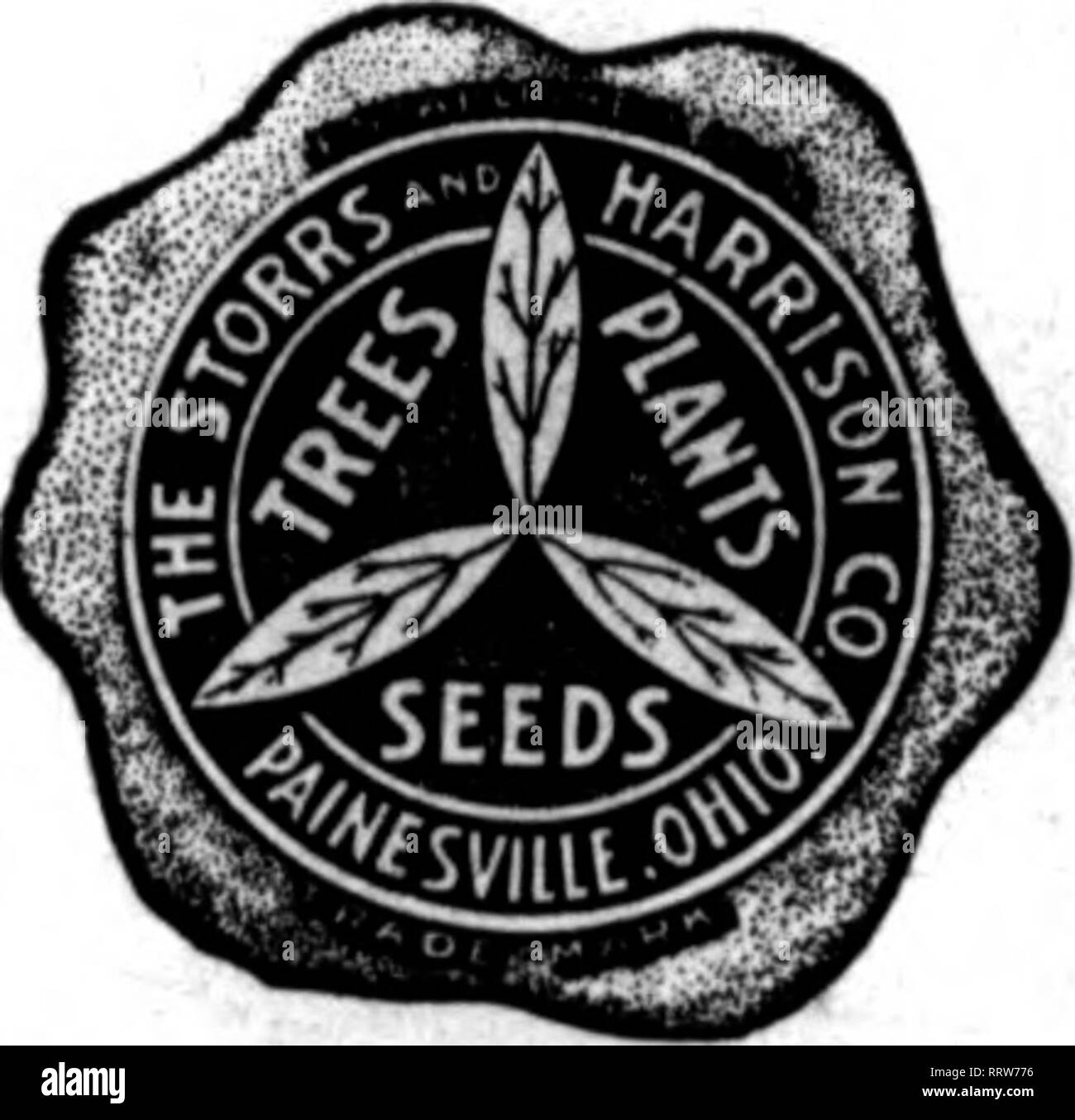 . Florists' review [microform]. Floriculture. 44 Superb Quality&quot; SEEDS FOR FLORISTS THE STORRS &amp; HARRISON CO.'S SUPERB MIXTURE OF GIANT PANSY SEED Contains the Ultlmmte in Giant Pansies. You cannot buy a better mixture of Pansy Seed at any price. Trade Packet, 50c; ^ oz., $1.25; oz., $4.00. We carry in stock all named and separate colors of Oiant Pansies, also the best strains of Odler, Gassier. Butmot. Trimardeau, etc. (See our trade list for prices.) Cineraria Grandiflora Sl&quot;n^rt!rd. p&quot;klt&quot; SJro&quot;i Bellis Perennis (English Daisy) Lonarfellow (red). Snowball (whit Stock Photo