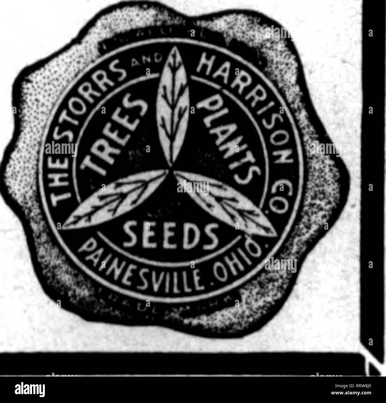 . Florists' review [microform]. Floriculture. 44 Superb Quality''( SEEDS FOR FLORISTS THE STORRS &amp; HARRISON CO.'S SUPERB MIXTURE OF GIANT PANSY SEED Ckintaiaa the Ultimate in Giant Panaies. You cannot buy a better mixture of Pansy Seed at any price. Trade Packet, 50c: H oz., $1.25; oz., $4.00. We carry in stock all named and separate colors of Oiant Pansies, also the best strains of Odler, Gassier, Bugnot, Trimardeau, etc. (See oar trade list for prices.) Cineraria Grandiflora ^li^o'rtlraVja^kl^^^^^^^^^ Bellis Perennis (English Daisy) Longfellow (red). Snowball (white), Tr. Pkt., 35c: Mixe Stock Photo