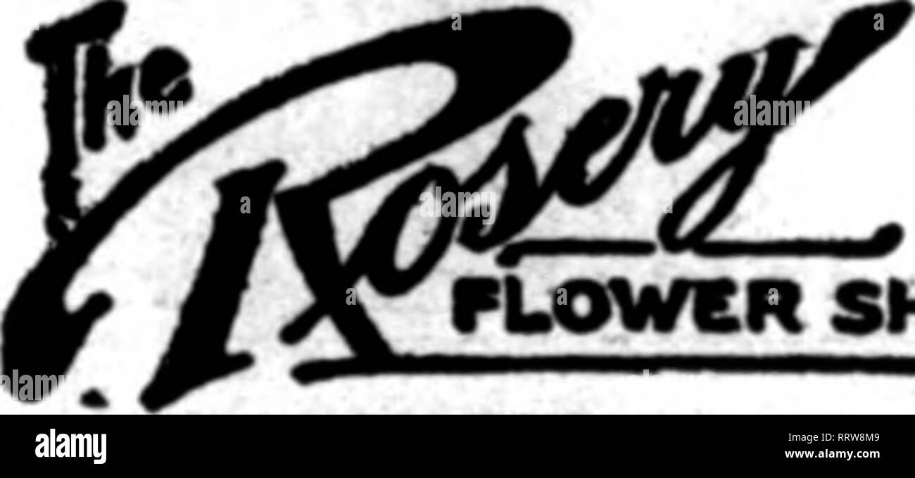 . Florists' review [microform]. Floriculture. South Dakota MINN. 40,000 feet ol Commercial Ont Flowers The Newburys, Mitchdl, S. D. STATE NURSERY CO. HELENA. MONTAKA CUT FLOWERS US6,000sq. ftof Klas. at your .errlce. Write, phone or wire your wants in PLANTS, cur fLOWERS AND FUNERAL DESIGNS First-class Stock—We Strive to Please MOSGIEL GARDINS. BeiisosMam (rcscent. Mo. show and S. A. F. matters that night and he hopes to have a full attendance. Henry Emunds, of Belleville, has a good stock of his new yellow King Humbert canna. A vase of the blooms was shown at the last club meeting. All the fl Stock Photo