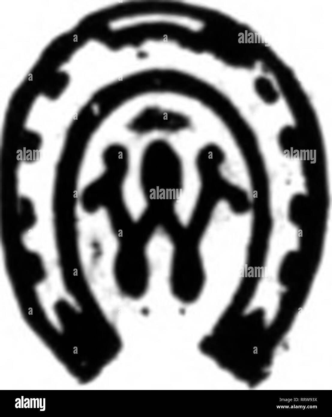 Blue lilium Black and White Stock Photos & Images - Alamy