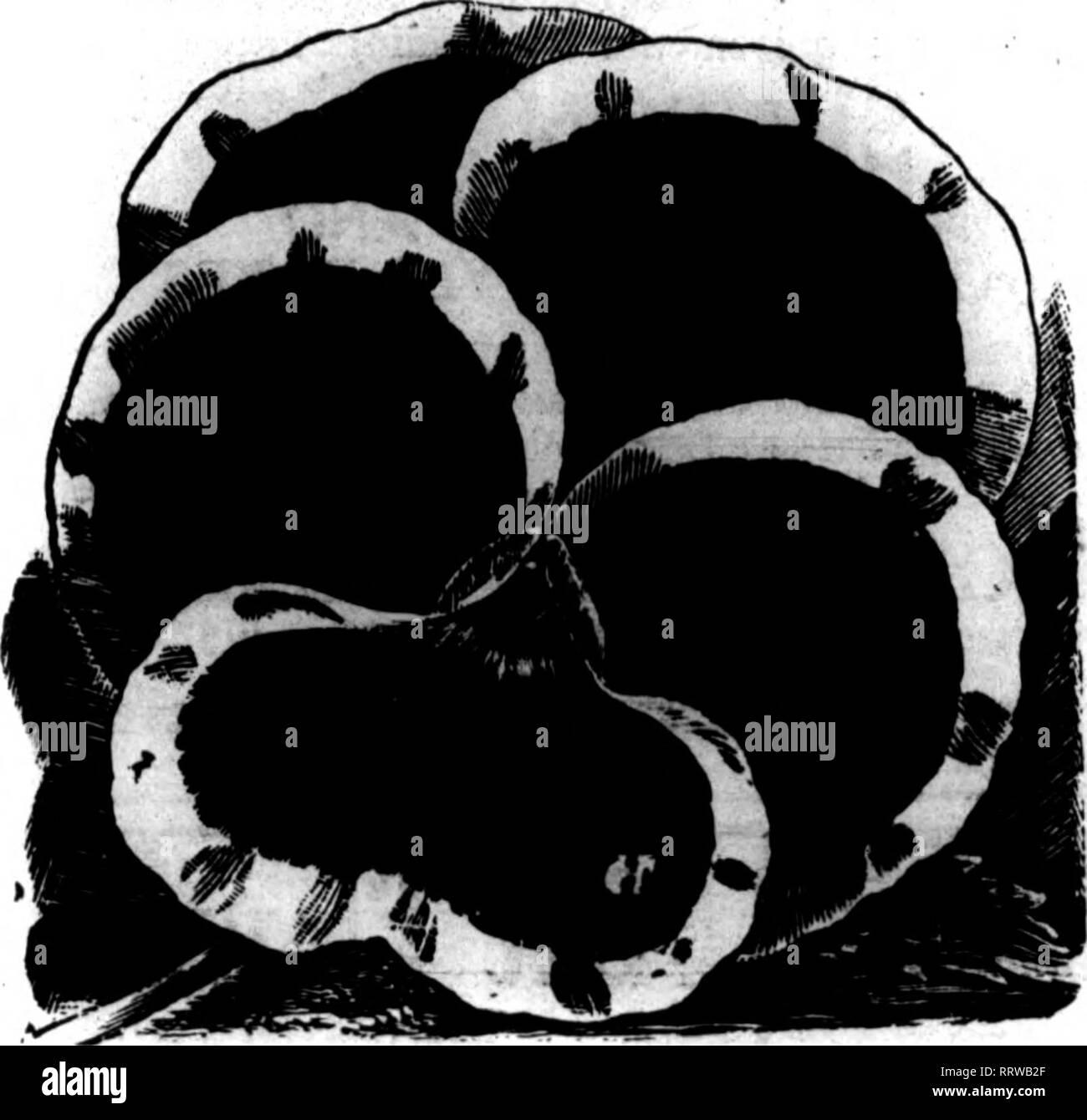 Florists Review Microform Floriculture I Ty T F Yu Fm