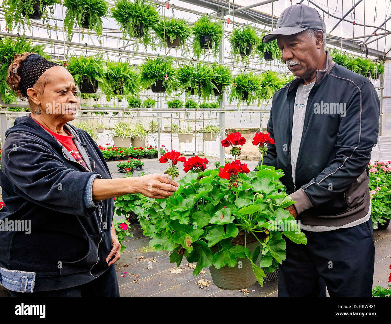 New York Mets Hall of Famer Cleon Jones, right, examines a begonia with his wife, Angela, Feb. 19, 2019, in Theodore, Alabama. Stock Photo