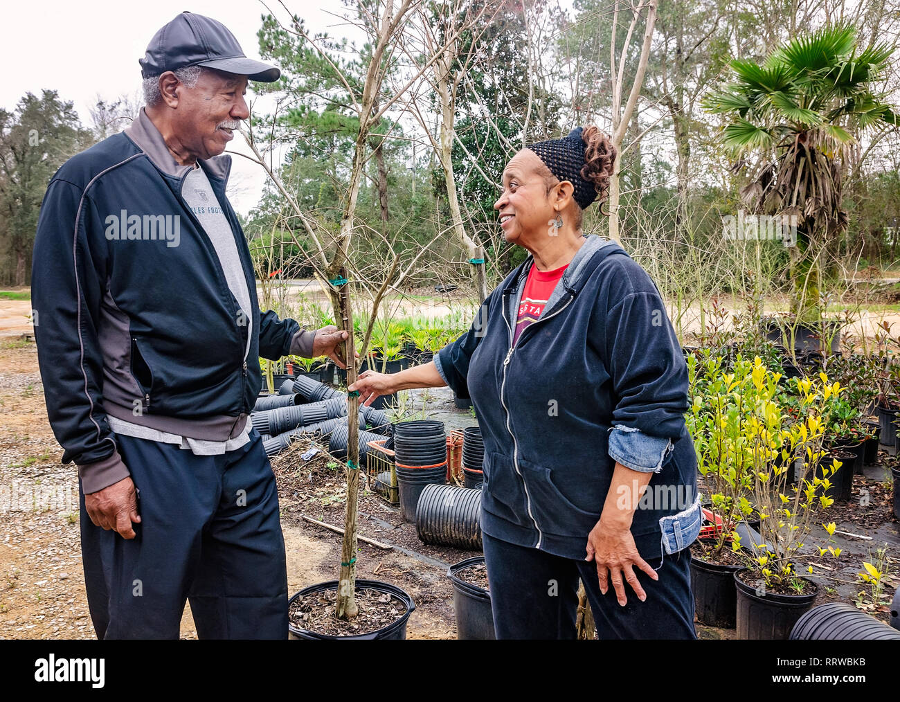 New York Mets Hall of Famer Cleon Jones, left, examines a crape myrtle tree with his wife, Angela, Feb. 19, 2019, in Theodore, Alabama. Stock Photo