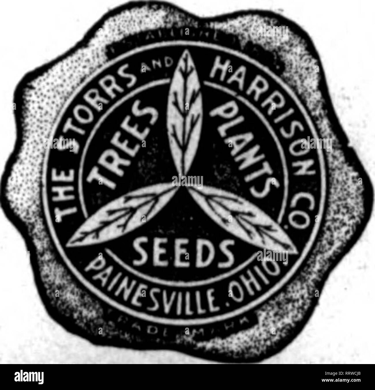 . Florists' review [microform]. Floriculture. &quot;Superb Quality&quot; SEEDS FOR FLORISTS THE STORRS &amp; HARRISON CO/S SUPERB MIXTURE OF GIANT PANSY SEED Contaias the Ultimate In Olant Pansies. You cannot buy a better mixture of Pansy Seed at any price. Trade Packet. 50c; ^ oz., $1.25; oz., |4.00. We carry in stock all named and separate colors of Olant Pansies, also the best strains of Odier, Gassier, BuKuot, Trimardeau, etc. (See our trade list for prices.) Cineraria Grandiflora :J;:ro'):tlrdV;a&quot;kItf^^^^^^^ Bellis Perennis (English Daisy) Longfellow (red), Snowball (white), Tr. Pkt. Stock Photo
