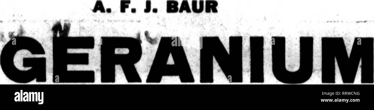 Fffr High Resolution Stock Photography And Images Alamy