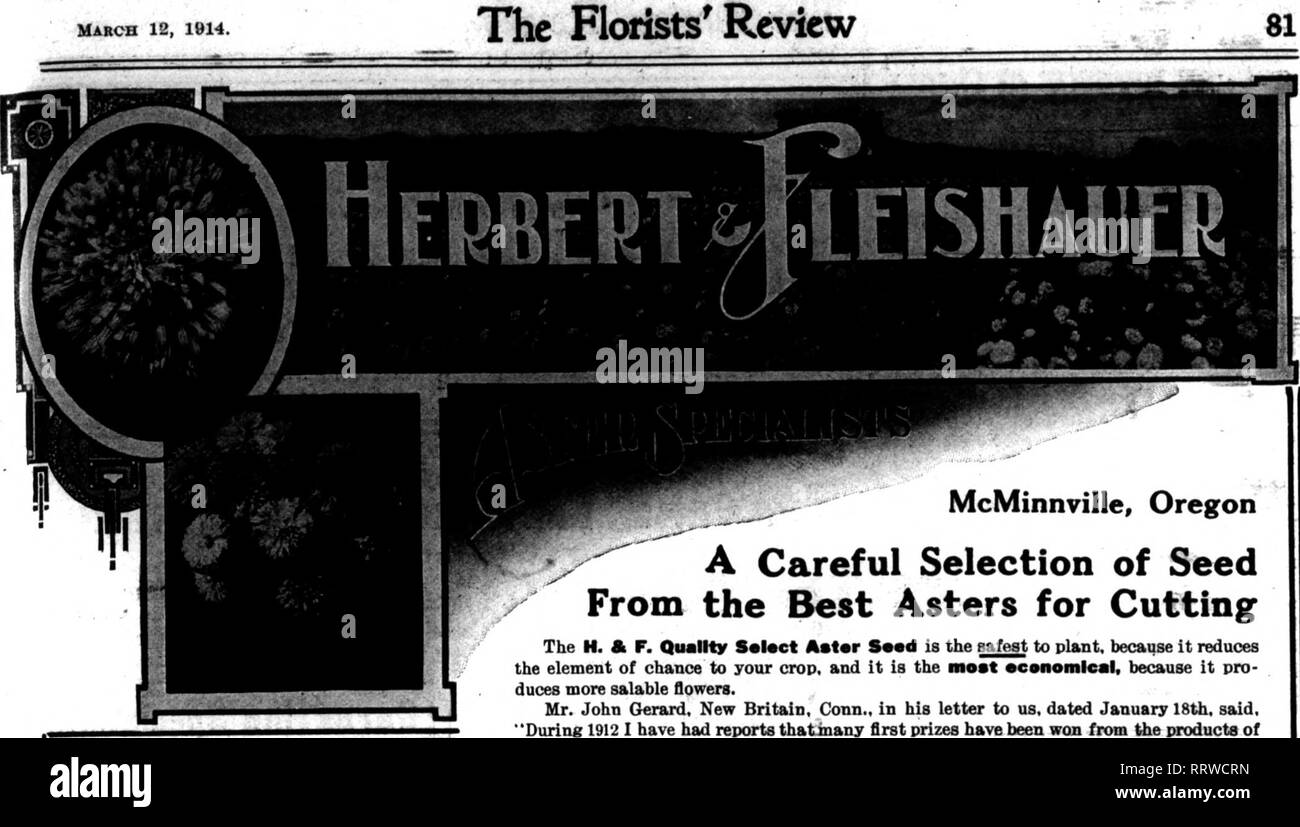 . Florists' review [microform]. Floriculture. ^^^ MARCH 12.1914. The Florists^ Review. -- McMinnville, Oregon A Careful Selection of Seed From the Best Asters for Cutting The H. ft F. Quality S«l«ct Astar S««d is the safest to plant, because it reduces the element of chance to your crop, and it is the most •CMiomlcal, because it pro- duces more salable flowers. Mr. John Gerard, New Britain, Conn., in his letter to us, dated January 18th, said, &quot;During 1912 I have had reports thatmany first prizes have been won from the products of ^^&quot;&quot;^'&quot;^^'^^ your seeds, and I feel confide Stock Photo