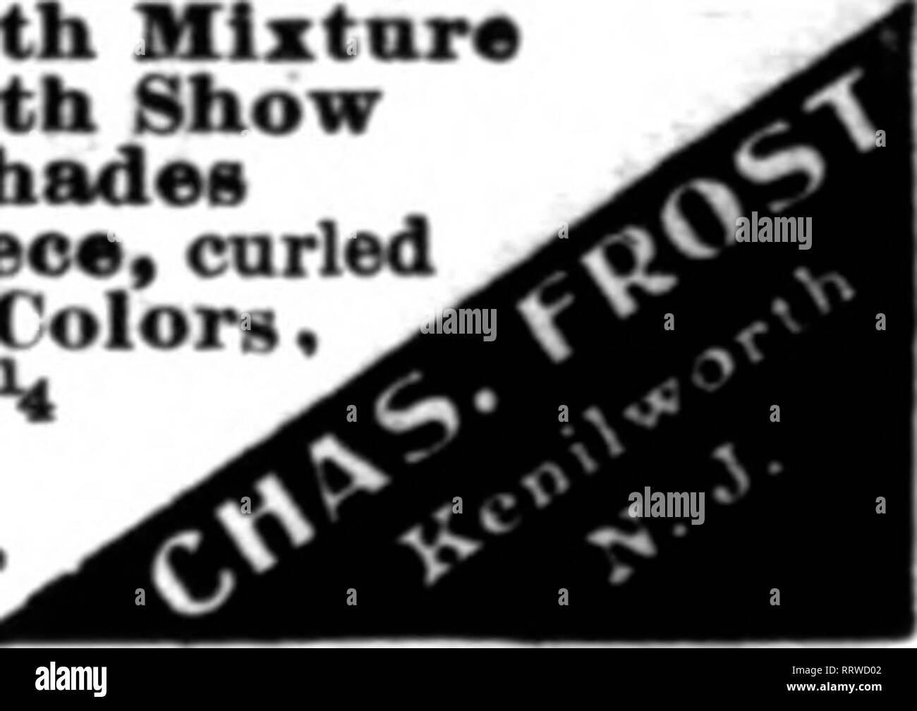 . Florists' review [microform]. Floriculture. GIANT PANSY SEED K«nilworth Mlxtar* K«nllworth Show Bronxe Shade* ]Wast«rpieo«, curled Hepamte Colors, 1000 feeds. 2Sc: SOOu. $1.00; &gt;« OS., $12B: loz.,tliUO Princess (new upright). 1000 •eeds.TBc. StOseedfl, asc, Mention The Rerlew when yon wrlt&gt;. Please note that these images are extracted from scanned page images that may have been digitally enhanced for readability - coloration and appearance of these illustrations may not perfectly resemble the original work.. Chicago : Florists' Pub. Co Stock Photo